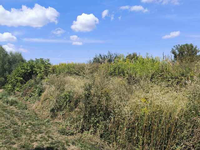 TIJA-obrt za uređenje i održavanje okoliša