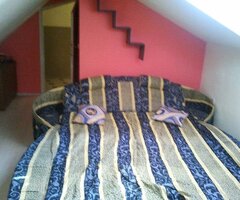 Trazim  APP ,STAN  okolina Zadra