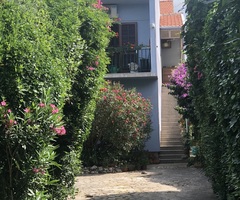 Jednosobni prostrani stan sa vrtom